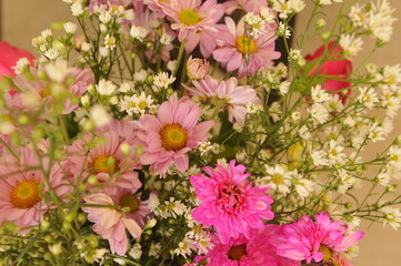 bouquet of white and pink flower, chrysanthemum and chamomile