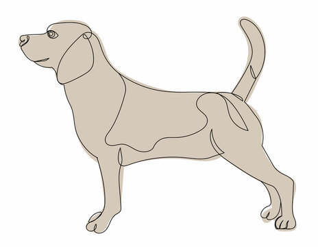 brown dog continuous line drawing