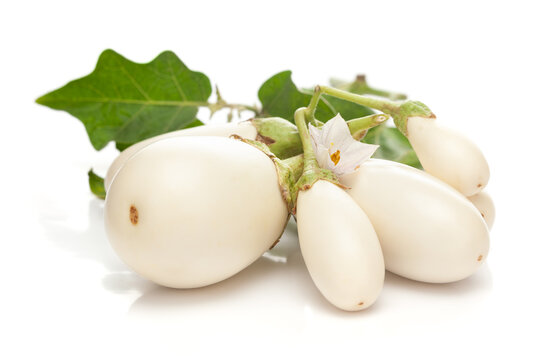 Close-up of organic white fresh eggplant or brinjal with leaf ( Solanum melongena)  isolated over white background