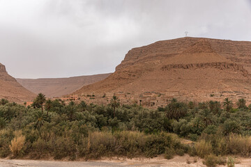 Palmerie in der Wüste von Marokko