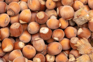 Fresh hazelnuts as an abstract background.