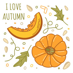 Pumpkins set with elements in color isolated on a white background for autumn or thanksgiving cards, t-shirt design, coloring page. Vector illustration