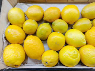 Fresh sicilian lemon in the counter shop in supermarket, Citrus limon