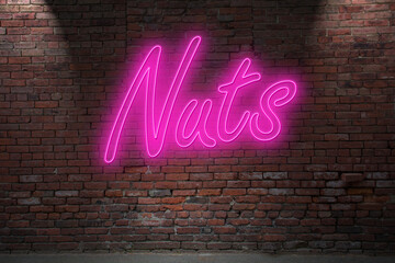 Neon scrotum Nuts (in german Hoden) lettering on Brick Wall at night