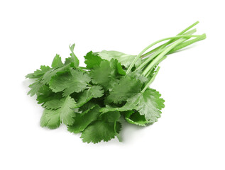 Bunch of fresh coriander on white background