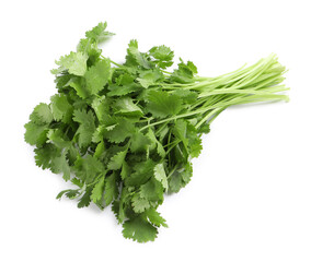 Bunch of fresh coriander on white background, top view