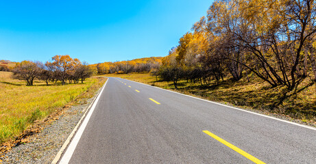 Empty asphalt road and autumn forest landscape.Road and trees background.