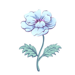 Blue poppy. Flower, vector illustration.