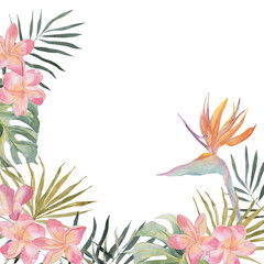 Hand drawing watercolor summer banner - Strelitzia, plumeria, monstera, palm leaf. On white background with space for text. For holiday invitation, postcard, poster, valentines and birthday cards