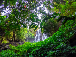 View of Latour waterfall also known as Cascade du Mamouth hidden in a forest located in Mauritius