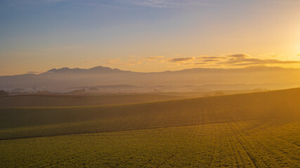 雲海の立ちこめる丘　畑と山　秋の美瑛