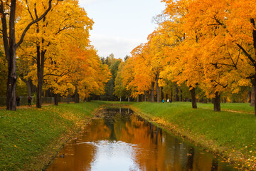 Alexander Park in autumn. With bright colorful leaves