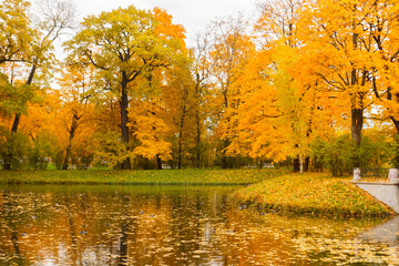 Alexander Park in autumn. With bright colorful leaves