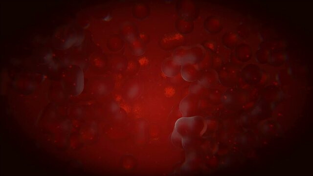 The immune system. Dividing immune cells,segregating IgM and IgG antibodies. Cytokines swirl around and activate the immune cells.