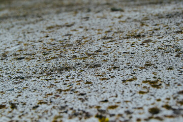texture background