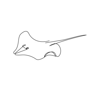 recommend clip art: Stingray fish, manta, sea fox continuous line drawing. One line art of predatory fish, seafood, marine animals.