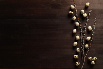 Quail eggs and willow on the dark background copyspace