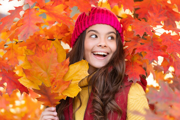 Naklejka na ściany i meble happy child at maple tree red branch. autumn nature. beautiful face portrait.
