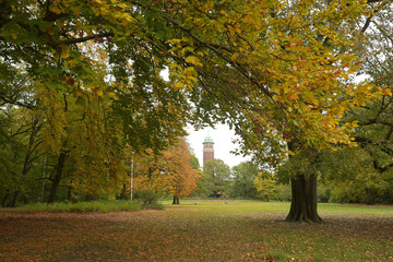 volkspark jungfernheide