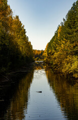 Landscape with a river and a forest. Reflection in water