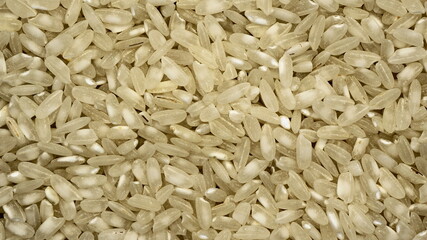 Rice is the main food for half of humanity.