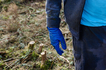 Partial view of the body of a forestry worker with a blue glove on his hand.