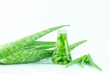 Aloe Vera Extract,Fresh aloe leaves with essential oil on white background,Close up bottle of Aloe Vera essential oil extract with Aloevera leaf and cut slice isolated on white background. Skin care, 