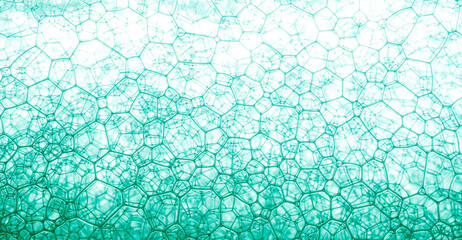 blue macro soap bubbles,Macro close up of soap bubbles look like scientific image of cell and cell membrane