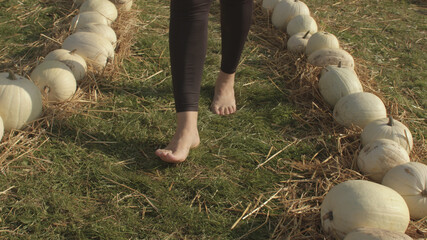 Bare feet walk on the grass. White pumpkins decorate the path. Benefit of walking barefoot. Sunny...