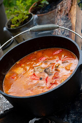 Kettle goulash is prepared over an open fire!