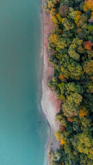 Aerial birds eye view of a forest and river in autumn. Fall colors, yellow, green, orange leaves, drone photo