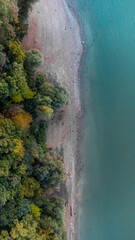 Aerial birds eye view of a forest and river in autumn. Fall colors, yellow, green, orange leaves, drone photo