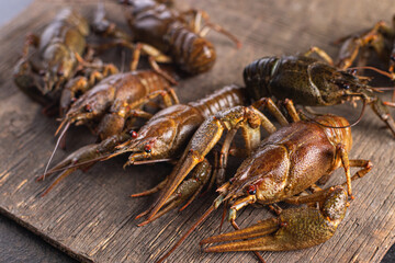 crayfish raw fresh seafood meal snack copy space food background rustic vegetarian food no meat
pescetarian diet
