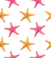 Seamless pattern with starfish. Hand-drawn illustration, colored