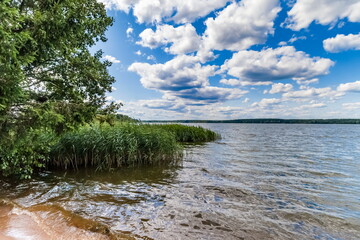 Summer landscape with river, ferry, trees and sky with clouds