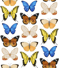 Fototapeta na wymiar Seamless pattern with butterflies. Forest background. Hand-drawn illustration, colored