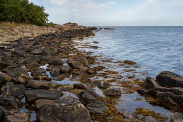 Fototapeta na wymiar A rocky shoreline with blue water and a blu sky in the background. Picture from Skalderviken, southern Sweden