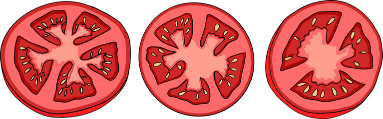 Hand drawn colorful red tomato. Vector illustration isolated on white background. Realism vegetable.