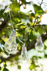 light bulb in the tree leaves garden branch green background