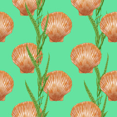 Seamless pattern with seashells and seaweed. Sea life background. Hand-drawn illustration, colored