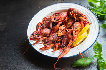 crayfish food fresh seafood red boiled  crustaceans meal snack on the table copy space food background rustic 