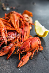 crayfish food fresh seafood red boiled  crustaceans meal snack on the table copy space food background rustic 