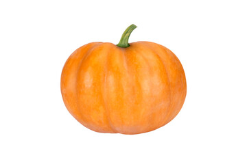 halloween pumpkin isolated on white background