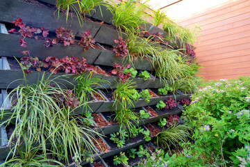 Vertical green wall garden made from recycled waste plastics on behalf of climate adaptation. Vertical garden with green plants. Living wall system for biodiversity. Groene gevel. Urban gardening.