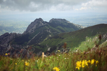 meadow in the mountains giewont zakopane poland © ms16_photo