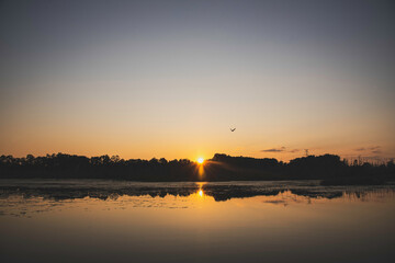 Sunset on a Lake, Water, Birds