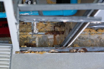 Electrical conduit and rusty, Hot water pipe with rust above the ceiling. 