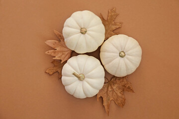 Close up shot of three baby boo pumpkins on paper textured background as a symbol of autumnal holidays with a lot of copy space for text