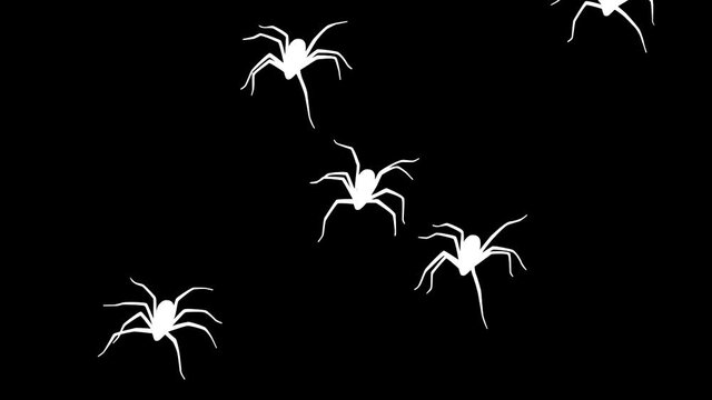 Animation with white spiders on the black background