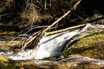 Wasserfall mit Totholz